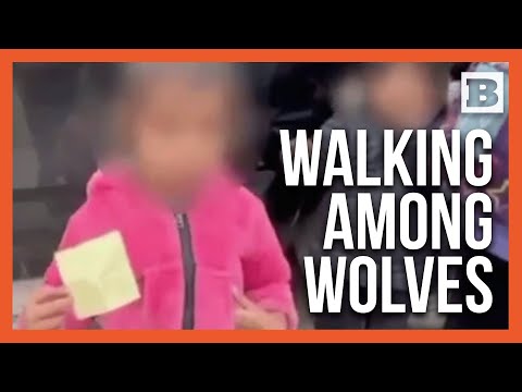 Read more about the article 2-Year-Old Migrant Faces Lone Journey in Search of Parents in America