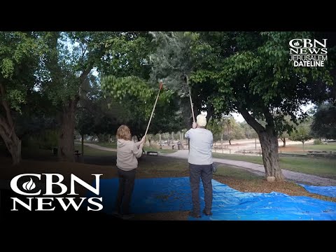 Read more about the article Faith Unite: Christians and Jews Join Forces for Israel’s Needy!