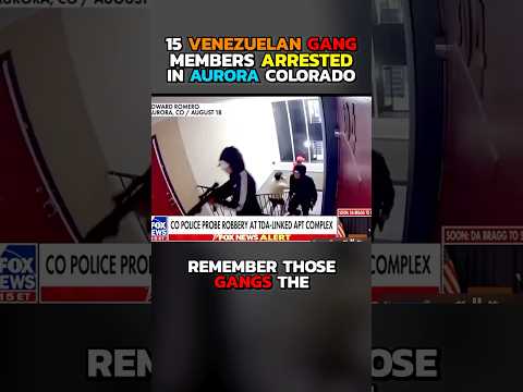 Read more about the article Gang of 15 Arrested After Brazen Home Invasion in Venezuela