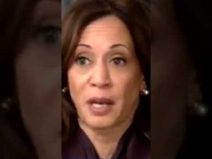 Read more about the article Kamala’s Word Salad: A Surprising Delicacy at the Klavan Table