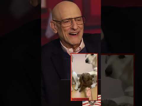 You are currently viewing Dogs Exposed as Furry RATS in Shocking New Revelation