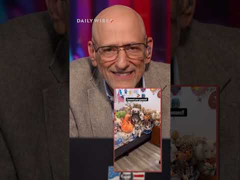 Read more about the article Dogs Go Wild: Owners’ Room Turns Into a Furry Disaster Zone