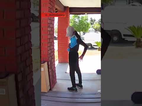 Read more about the article Amazon Driver’s Painful Mistake: The Cactus That Stung Him