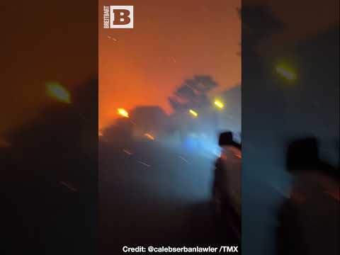 You are currently viewing Heroic Rescue: Woman and Dog Saved from LA Fires After Car Fails!