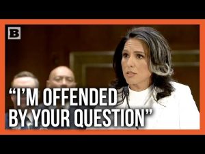 Read more about the article Tulsi Gabbard Slams Senator’s Russia Loyalty Insinuation: “Offended!