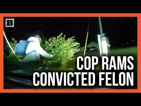 You are currently viewing Cop Delivers Justice on Wheels: Convicted Felon Struck by Police Car!
