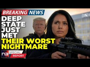 Read more about the article Tulsi Shocks Washington: Establishment Spirals into Chaos