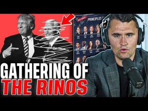 Read more about the article RINOs Ignored the Warning Signs—Now They’re Facing the Consequences