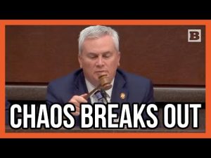 Read more about the article Democrat’s Meltdown Over Trump and Musk Lands Them Out of Meeting!