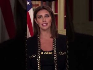 Read more about the article Epstein List Crackdown: Alina Habba Vows Jail Time