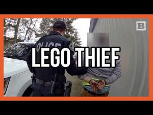 Read more about the article Master Builder or Master Thief? Man Nabs $10K in Lego Before Arrest!