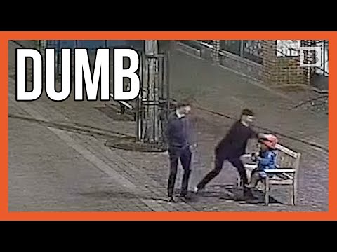 You are currently viewing Thieves Viciously Assault Paddington Bear Statue, Community Outraged!