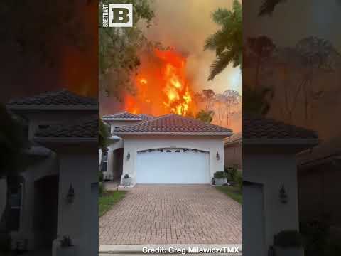 You are currently viewing Flames Leap Over Neighbor’s Fence in Shocking Naples Fire Incident!
