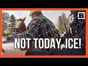 Read more about the article Heroic Saratoga Springs Officers Rescue Horse from Icy Pond!