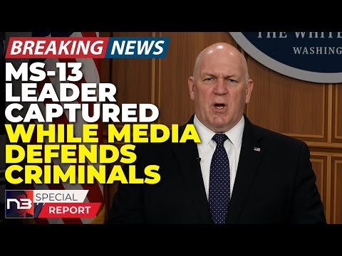 You are currently viewing Gang Members Shake with Fear After Major MS-13 Takedown Revealed