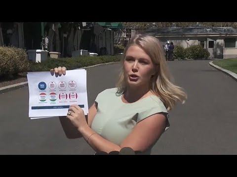 You are currently viewing Karoline Leavitt Takes on Reporters Over Tariffs and Deportations