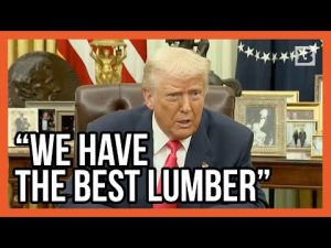 Read more about the article Trump’s Bold Move: Cutting Canada Off from Tree Imports!