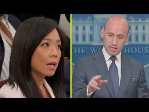 Read more about the article Stephen Miller Blasts Lib Reporter for MS-13 Deportation Debate
