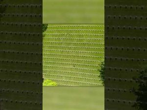 Read more about the article Unbelievable: This Historic Moment Will Leave You Speechless