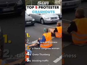 Read more about the article Lib Protesters Face Hilarious Karma in Pics