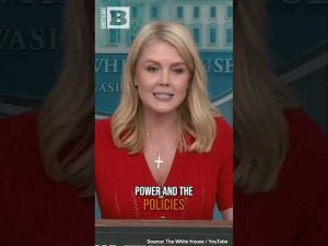 Read more about the article Trump’s Tariff Showdown: Can He Overcome Leftist Judicial Overreach?