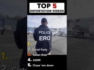 Read more about the article ICE’s Top 5 Savage Trolls on Illegals Revealed