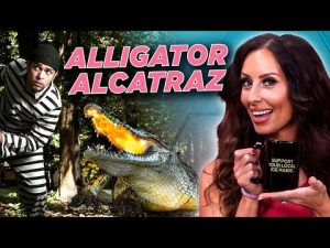 Read more about the article New Prison in Everglades Faces Unlikely Danger: Alligators and Pythons