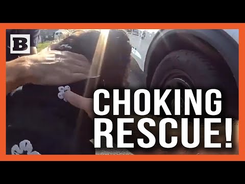 You are currently viewing Tampa Heroes: Cops Save Child from Tomato Choking Scare!