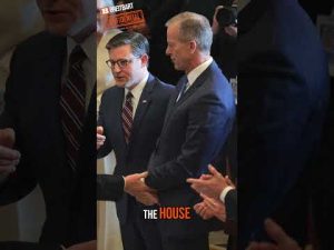 Read more about the article Elon’s Tesla Woes: Is He Sabotaging Trump’s Big Beautiful Bill?