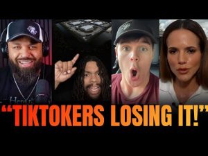 Read more about the article TikTokers Go Wild Over Alligators at the New Alcatraz Attraction