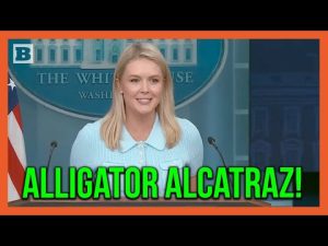 Read more about the article Escape Route for Illegals: Alligator Alcatraz Awaits!