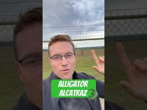 Read more about the article Deadly Alligator Island: Escape If You Dare