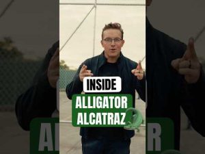 Read more about the article Surviving Alligator Alcatraz: Inside the Deadliest U.S. Prison