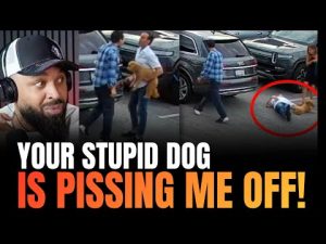 Read more about the article Uber Driver Responds with Fists After Rider’s Dog Takes a Bite