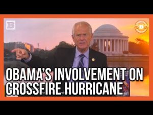 Read more about the article Obama Deeply Involved in Russiagate, Claims Navarro