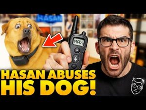 Read more about the article Hasan Piker Slammed for Alleged Dog Abuse on Live Stream