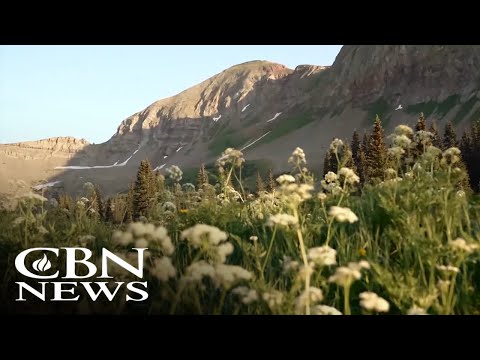 You are currently viewing Embrace Nature: How Wildflowers Teach Us to Trust and Slow Down
