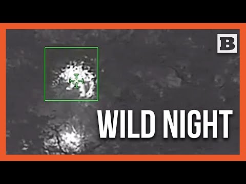 You are currently viewing Deputy and K-9 Stumble Upon Unexpected Bear: You Won’t Believe It!