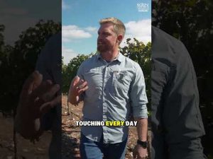 Read more about the article Divine Message Unveiled: Blessings Pour from the Mt. of Blessing!