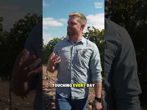 Read more about the article Divine Message Unveiled: Blessings Pour from the Mt. of Blessing!