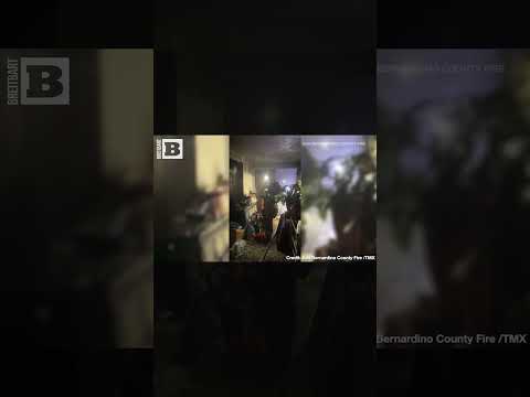 Read more about the article Heroic Rescue: Adorable Puppies Saved from Fiery California Blaze!