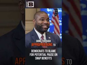 Read more about the article Democrats Facing Heat as SNAP Benefits Hang in the Balance!