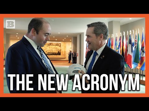 You are currently viewing Waltz Declares War on U.N. Red Tape: Check Out the Hall of Flags!