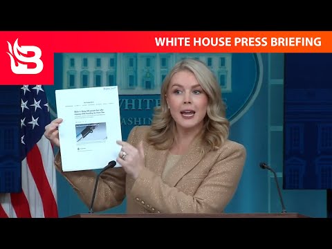 Read more about the article Karoline Leavitt Exposes Somali Fraud Rings in Fiery Press Briefing