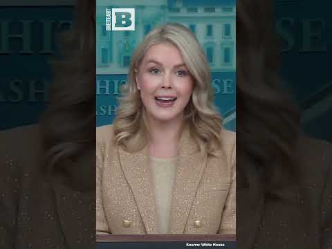 Read more about the article Somali Immigrants: Are They Exploiting American Citizens?